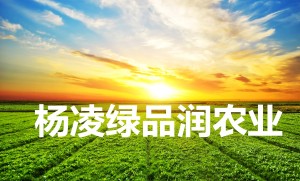 杨凌绿品润农业科技有限公司 
