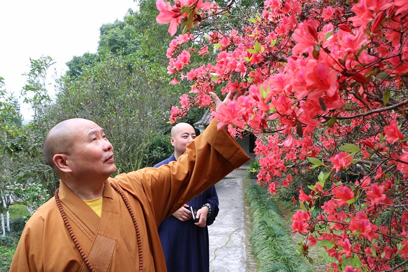 少林寺释永福法师到陆川察看普照禅寺建设